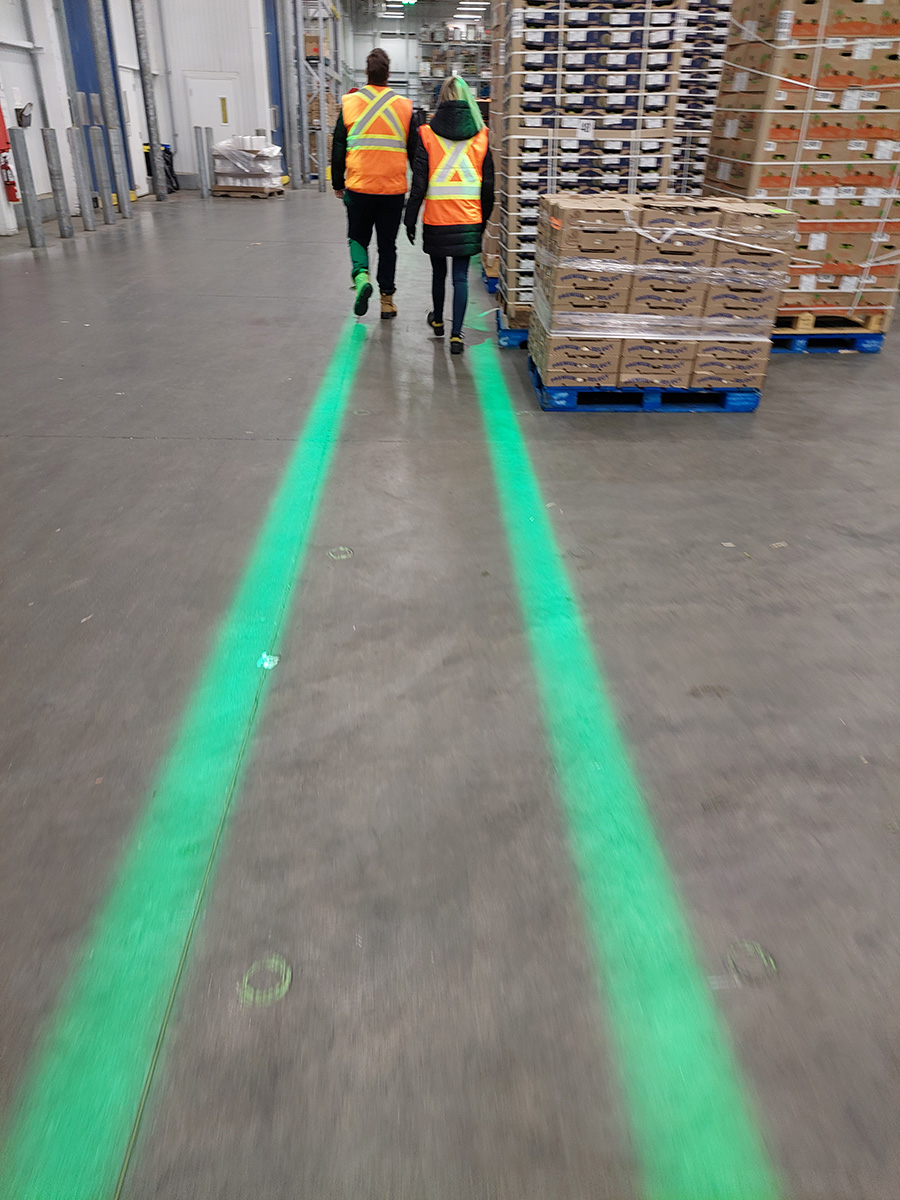 projecteur-de-ligne-pieton-industrie